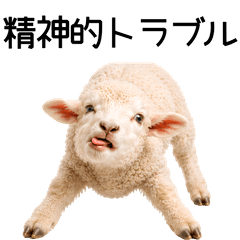 【ネタ】ずっと使える赤ちゃんヒツジ