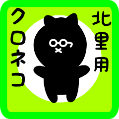 black cat sticker for kitazato