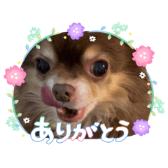 tenko_20260726221443