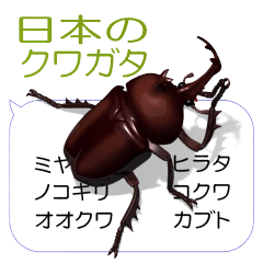 Stag beetles JP 3