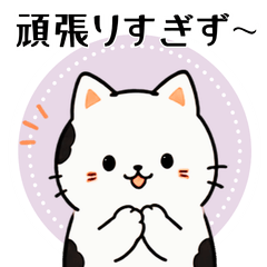 Cow Cat: Gentle Care Keigo