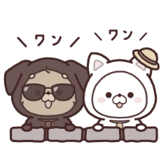 DOG - Espresso and Marshmallow - summer