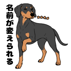 名前入りドーベルマンブラックタン②