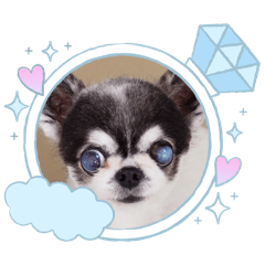 tenko_20260726220942