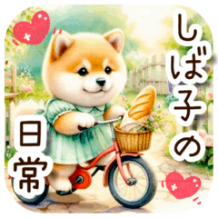 The Ideal Lifestyle for a Shiba Inu