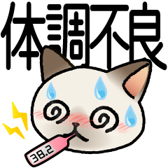 Happycat Feeling Unwell! For Sick Days