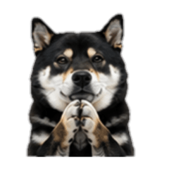 [No text]Pessimistic Black Shiba Inu