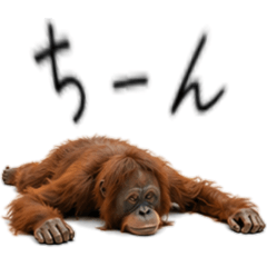 A negative orangutan