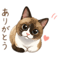 Hana_20260725025913