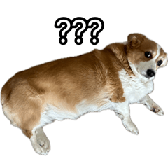 Big Chonker