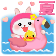 Usable pretty rabbit summer 6