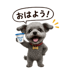 RISA_20260727103046