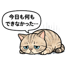Negative Cat Low Energy Days