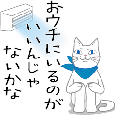 Blue scarf Shiro-san 7