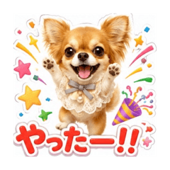 hana_20260725145908