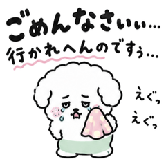 น้องหมาร้องไห้ปฏิเสธคำชวน