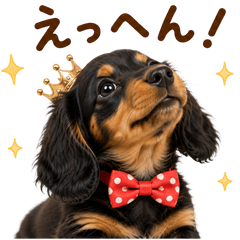 20260725dog2