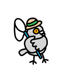 ハトの夏休み