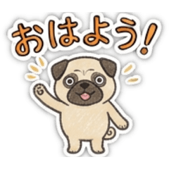 ebifurai_20260725171449