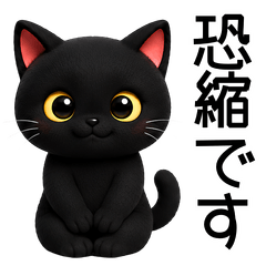 Working adult / black cat / cat / polite