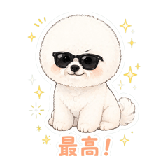 Bichon Winnie_20260724195941