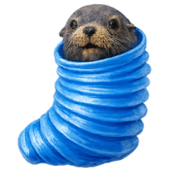 アシカ オブジェクト