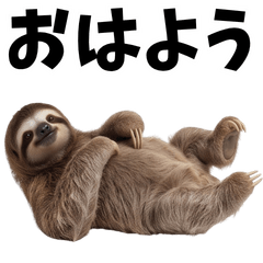 Lazing around with a sloth