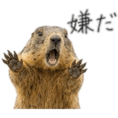 Manegative-Motto