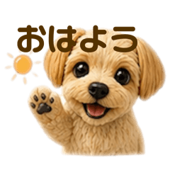 クレイ・日常使い・ヨークシャテリア