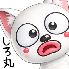 Animated! A Cat's Summer
