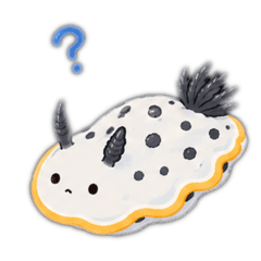 saya_20260726112158