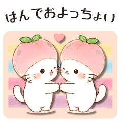 Yamanashi Peach Cat: Everyday
