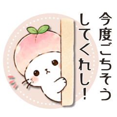 Yamanashi Peach Cat: Polite Koshu