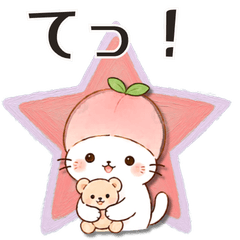 Yamanashi Peach Cat: Empathy in Koshu