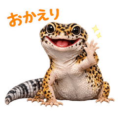 Dedicated to Leopard Geckos