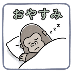 Gorilla Thoughts: Everyday Life