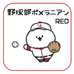 Baseball Pomeranian red