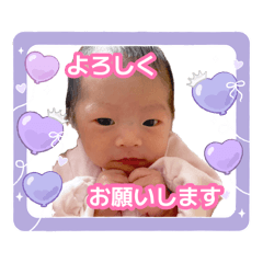 RISA_20260727142143