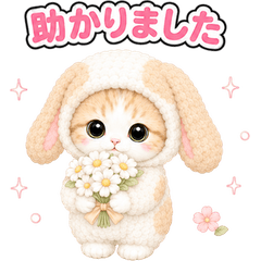 Cat Costume Reactions (JP) 104
