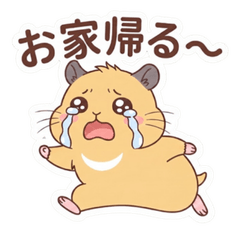 キンクマハムスターあんずくん(日常編)