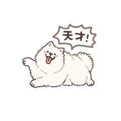 小さいふもふサモエドさん