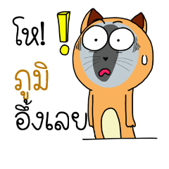 Name is Bhumi crazy – Stickers LINE | LINE STORE