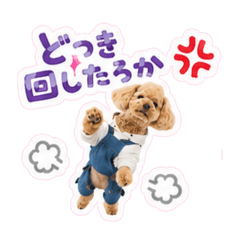 kuru-nico_20260727094714