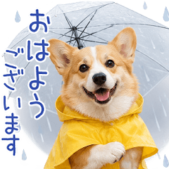 Realistic corgis 2 [Daily Use] Weather