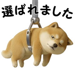 40 Unique 3D Shiba Inu (Part3)
