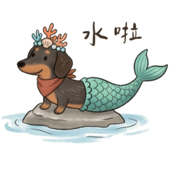 Black Dachshund Summer Daily Life
