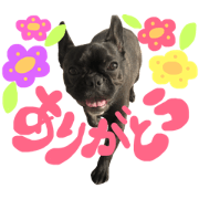 momochan.French