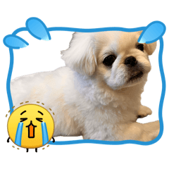 abc_20260727144257