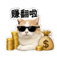 寶寶貓咪某某愛姊姊