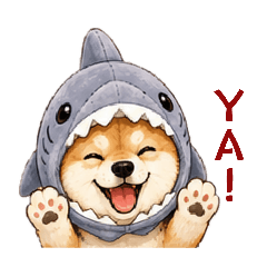 sharkdog_20260626202231